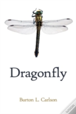 Capa do artigo Dragonfly