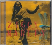 Capa do artigo Dragonfly - CD