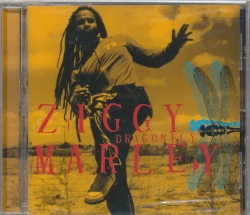 Capa do artigo Dragonfly - CD