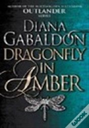Capa do artigo Dragonfly In Amber