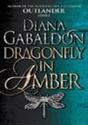 Dragonfly In Amber - Preview