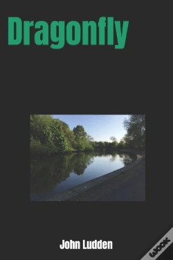 Capa do artigo Dragonfly