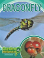 Dragonfly - Preview
