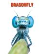 Dragonfly - Preview