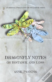 Capa do artigo Dragonfly Notes