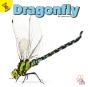 Dragonfly - Preview