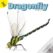Capa do artigo Dragonfly