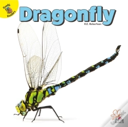Capa do artigo Dragonfly