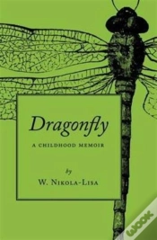 Capa do artigo Dragonfly