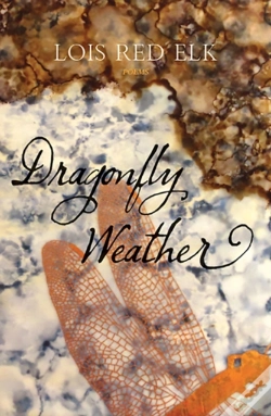 Capa do artigo Dragonfly Weather