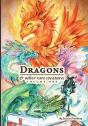 Dragons & Other Rare Creatures Volume 1 - Preview