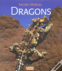 Capa do artigo Dragons