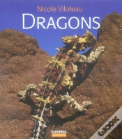 Capa do artigo Dragons
