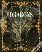 Capa do artigo Dragons