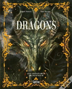 Capa do artigo Dragons