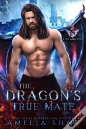 Capa do artigo Dragon