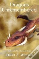 Dragons Unremebered