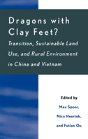 Dragons With Clay Feet? - Preview