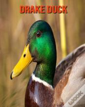 Drake Duck