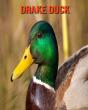 Drake Duck - Preview
