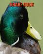 Drake Duck - Preview