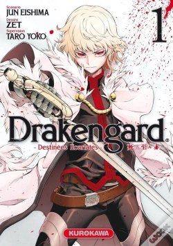 Capa do artigo Drakengard - Tome 1
