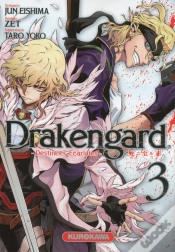 Capa do artigo Drakengard - Tome 3