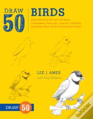 Draw 50 Birds