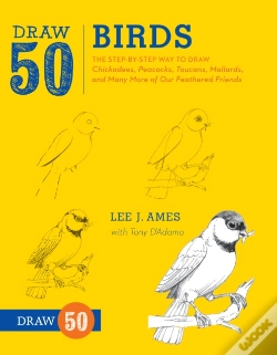 Capa do artigo Draw 50 Birds