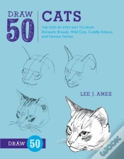 Capa do artigo Draw 50 Cats
