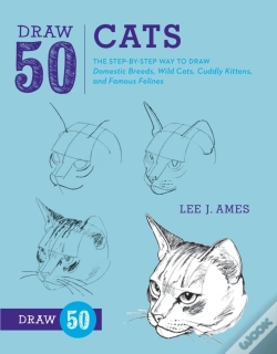 Capa do artigo Draw 50 Cats
