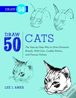 Capa do artigo Draw 50 Cats