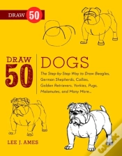 Capa do artigo Draw 50 Dogs
