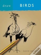 Capa do artigo Draw Birds