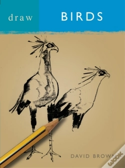 Capa do artigo Draw Birds