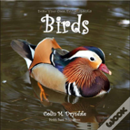 Draw Your Own Encyclopaedia Birds
