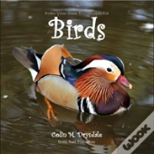 Draw Your Own Encyclopaedia Birds