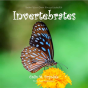 Draw Your Own Encyclopaedia Invertebrates - Preview