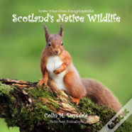 Draw Your Own Encyclopaedia Scotland'S Native Wildlife