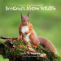 Draw Your Own Encyclopaedia Scotland'S Native Wildlife - Preview