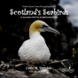 Draw Your Own Encyclopaedia Scotland'S Seabirds - Preview