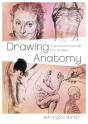 Drawing Anatomy - Preview