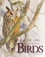Drawing And Painting Birds - Preview