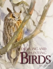 Capa do artigo Drawing And Painting Birds