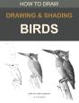 Drawing And Shading Birds: How To Draw - Preview