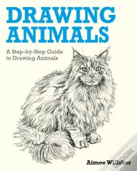 Drawing Animals
