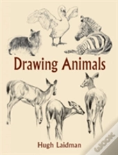 Drawing Animals
