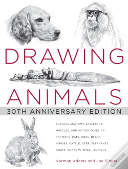 Capa do artigo Drawing Animals