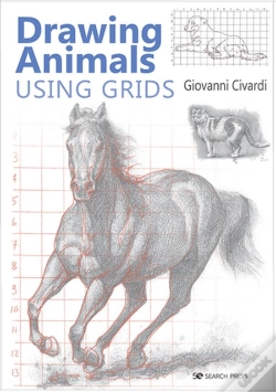 Capa do artigo Drawing Animals Using Grids