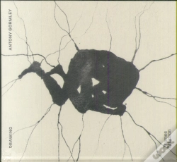 Capa do artigo Drawing: Antony Gormley